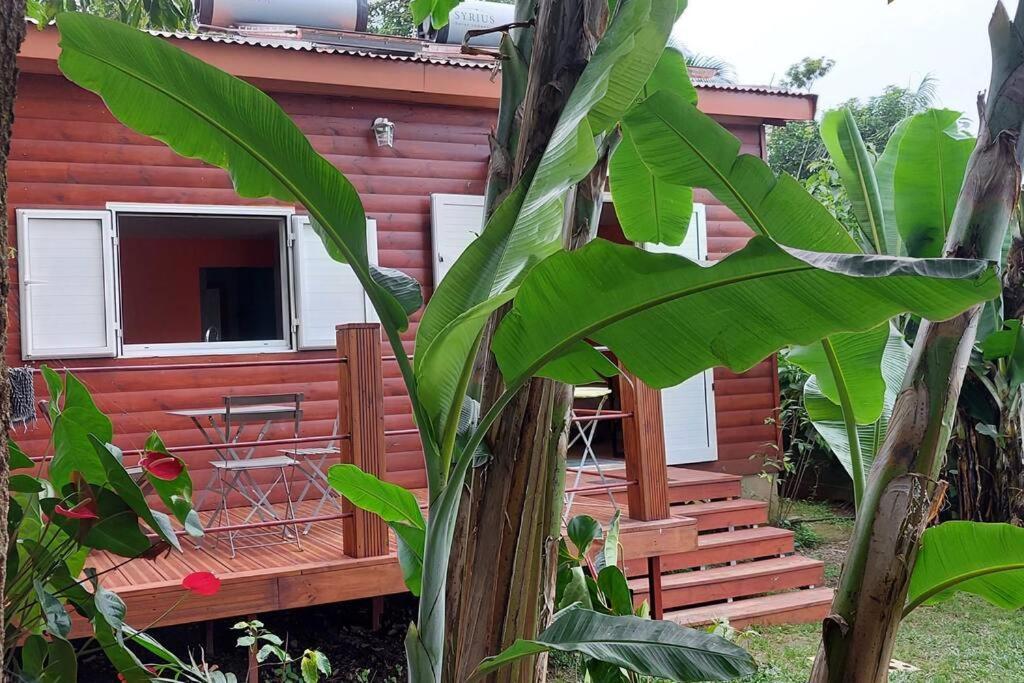 Chalet Les Azalees Le Tampon Ngoại thất bức ảnh