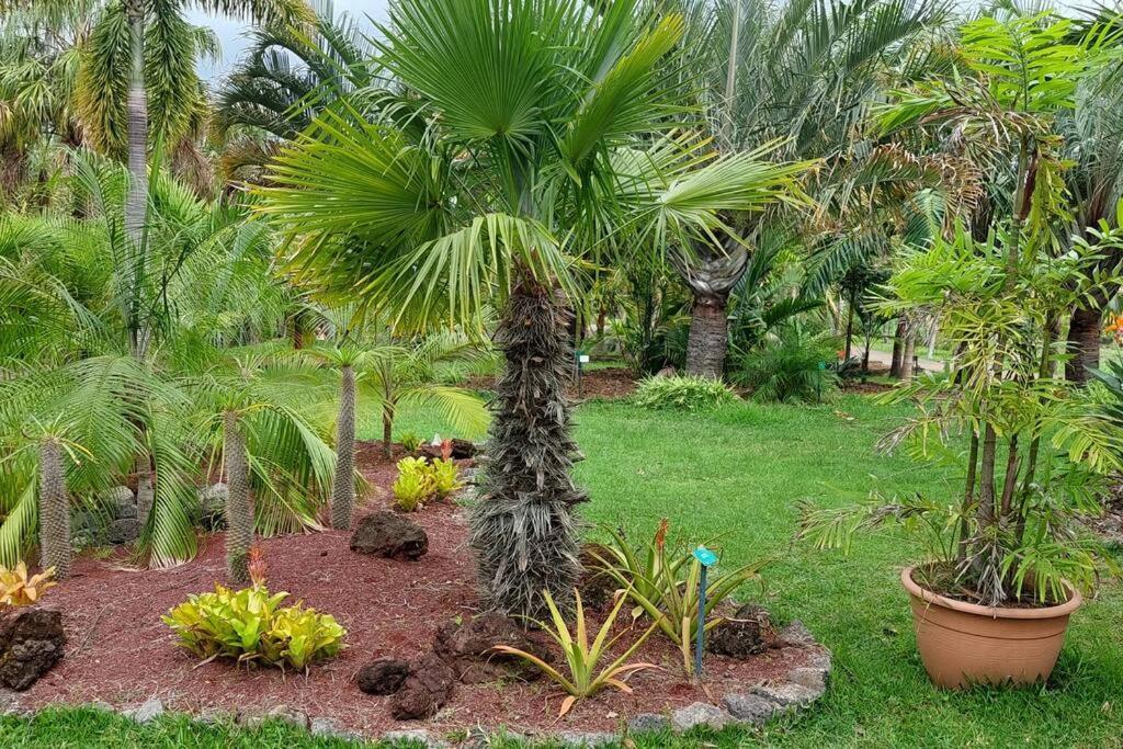 Chalet Les Azalees Le Tampon Ngoại thất bức ảnh