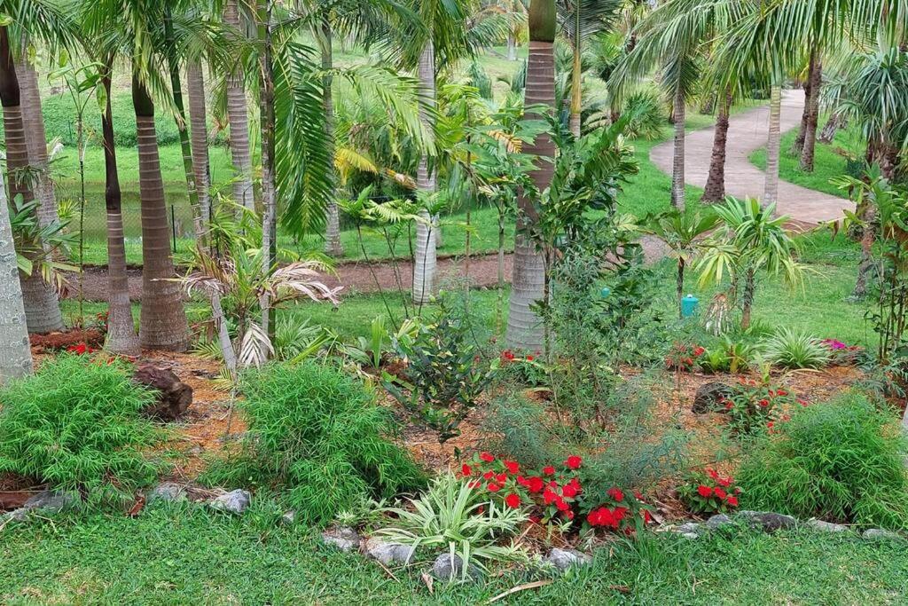 Chalet Les Azalees Le Tampon Ngoại thất bức ảnh